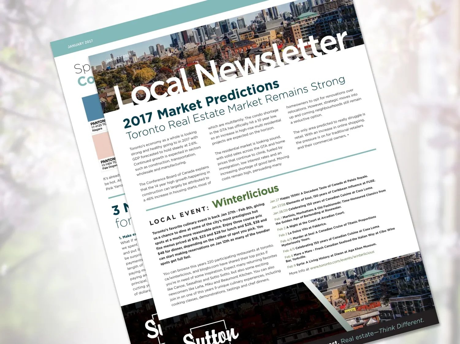 Newsletter - Iconica Communications